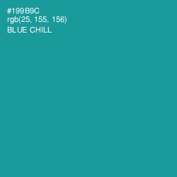 #199B9C - Blue Chill Color Image
